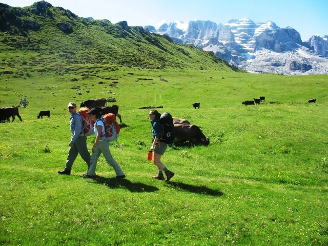 A day in the mountains for young explorers in the Brenta Dolomites